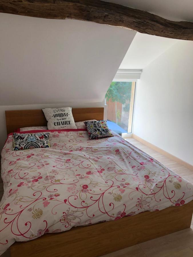 Nid Douillet Villa Сансер Екстериор снимка